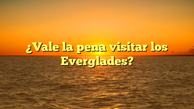 ¿Vale la pena visitar los Everglades?